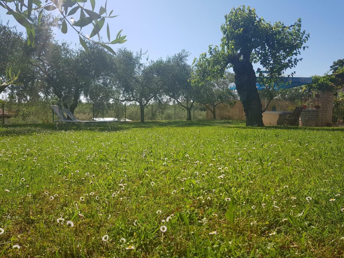 Casa Istria Villa Buje Exterior photo